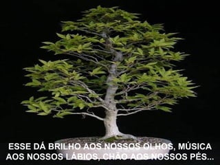 ESSE DÁ BRILHO AOS NOSSOS OLHOS, MÚSICA AOS NOSSOS LÁBIOS, CHÃO AOS NOSSOS PÉS... 