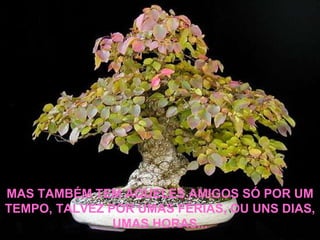 MAS TAMBÉM TEM AQUELES AMIGOS SÓ POR UM TEMPO, TALVEZ POR UMAS FÉRIAS, OU UNS DIAS, UMAS HORAS... 