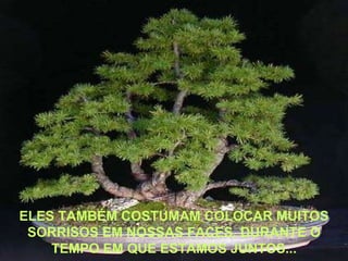ELES TAMBÉM COSTUMAM COLOCAR MUITOS SORRISOS EM NOSSAS FACES, DURANTE O TEMPO EM QUE ESTAMOS JUNTOS... 