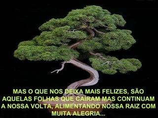 MAS O QUE NOS DEIXA MAIS FELIZES, SÃO AQUELAS FOLHAS QUE CAÍRAM MAS CONTINUAM A NOSSA VOLTA, ALIMENTANDO NOSSA RAIZ COM MUITA ALEGRIA... 