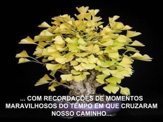 ... COM RECORDAÇÕES DE MOMENTOS MARAVILHOSOS DO TEMPO EM QUE CRUZARAM NOSSO CAMINHO... 