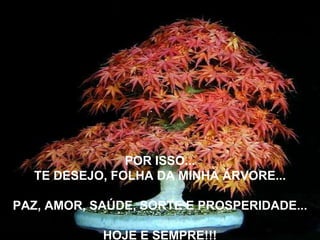 POR ISSO... TE DESEJO, FOLHA DA MINHA ÁRVORE... PAZ, AMOR, SAÚDE, SORTE E PROSPERIDADE... HOJE E SEMPRE!!! 