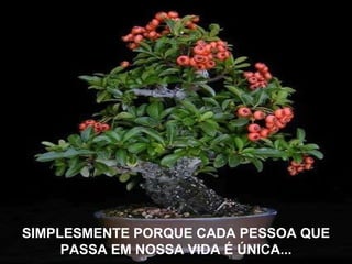 SIMPLESMENTE PORQUE CADA PESSOA QUE PASSA EM NOSSA VIDA É ÚNICA... 