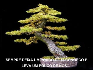 SEMPRE DEIXA UM POUCO DE SI CONOSCO E LEVA UM POUCO DE NÓS...   