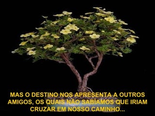 MAS O DESTINO NOS APRESENTA A OUTROS AMIGOS, OS QUAIS NÃO SABÍAMOS QUE IRIAM CRUZAR EM NOSSO CAMINHO... 