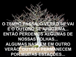 O TEMPO PASSA, O VERÃO SE VAI E O OUTONO SE APROXIMA... ENTÃO PERDEMOS ALGUMAS DE NOSSAS FOLHAS... ALGUMAS NASCEM EM OUTRO VERÃO, OUTRAS PERMANECEM POR MUITAS ESTAÇÕES... 