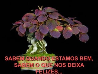 SABEM QUANDO ESTAMOS BEM,
  SABEM O QUE NOS DEIXA
        FELIZES...
 