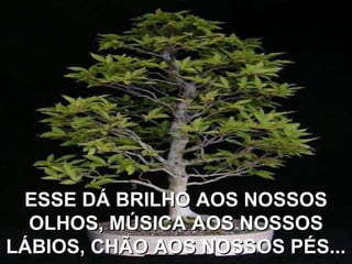 ESSE DÁ BRILHO AOS NOSSOS
  OLHOS, MÚSICA AOS NOSSOS
LÁBIOS, CHÃO AOS NOSSOS PÉS...
 