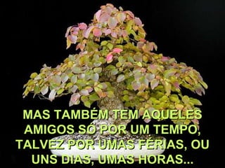 MAS TAMBÉM TEM AQUELES
 AMIGOS SÓ POR UM TEMPO,
TALVEZ POR UMAS FÉRIAS, OU
  UNS DIAS, UMAS HORAS...
 