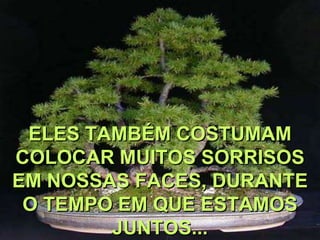 ELES TAMBÉM COSTUMAM
COLOCAR MUITOS SORRISOS
EM NOSSAS FACES, DURANTE
 O TEMPO EM QUE ESTAMOS
        JUNTOS...
 