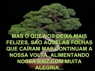 MAS O QUE NOS DEIXA MAIS
FELIZES, SÃO AQUELAS FOLHAS
QUE CAÍRAM MAS CONTINUAM A
 NOSSA VOLTA, ALIMENTANDO
    NOSSA RAIZ COM MUITA
          ALEGRIA...
 
