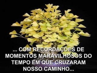 ... COM RECORDAÇÕES DE
MOMENTOS MARAVILHOSOS DO
 TEMPO EM QUE CRUZARAM
       NOSSO CAMINHO...
 