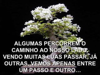 ALGUMAS PERCORREM O
  CAMINHO AO NOSSO LADO,
VENDO MUITAS LUAS PASSAR, JÁ
OUTRAS, VEMOS APENAS ENTRE
    UM PASSO E OUTRO…
 