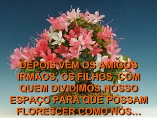 DEPOIS VEM OS AMIGOS
 IRMÃOS, OS FILHOS, COM
  QUEM DIVIDIMOS NOSSO
ESPAÇO PARA QUE POSSAM
 FLORESCER COMO NÓS…
 