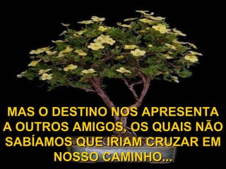 MAS O DESTINO NOS APRESENTA
A OUTROS AMIGOS, OS QUAIS NÃO
SABÍAMOS QUE IRIAM CRUZAR EM
      NOSSO CAMINHO...
 