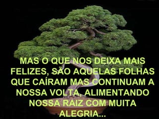MAS O QUE NOS DEIXA MAIS
FELIZES, SÃO AQUELAS FOLHAS
QUE CAÍRAM MAS CONTINUAM A
NOSSA VOLTA, ALIMENTANDO
NOSSA RAIZ COM MUITA
ALEGRIA...

 