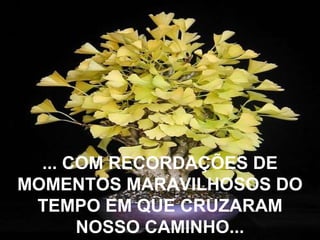 ... COM RECORDAÇÕES DE
MOMENTOS MARAVILHOSOS DO
TEMPO EM QUE CRUZARAM
NOSSO CAMINHO...

 