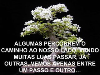 ALGUMAS PERCORREM O
CAMINHO AO NOSSO LADO, VENDO
MUITAS LUAS PASSAR, JÁ
OUTRAS, VEMOS APENAS ENTRE
UM PASSO E OUTRO…

 