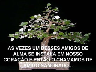 AS VEZES UM DESSES AMIGOS DE ALMA SE INSTALA EM NOSSO CORAÇÃO E ENTÃO O CHAMAMOS DE AMIGO NAMORADO... 