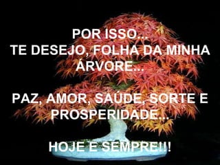 POR ISSO... TE DESEJO, FOLHA DA MINHA ÁRVORE... PAZ, AMOR, SAÚDE, SORTE E PROSPERIDADE... HOJE E SEMPRE!!! 