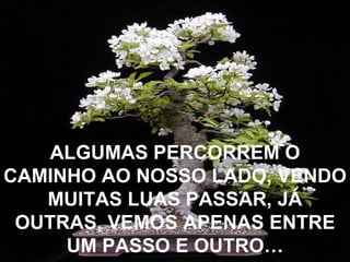 ALGUMAS PERCORREM O CAMINHO AO NOSSO LADO, VENDO MUITAS LUAS PASSAR, JÁ OUTRAS, VEMOS APENAS ENTRE UM PASSO E OUTRO… 
