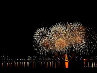 © Alexandre Macieira
 