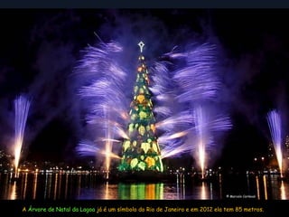 © Marcelo Carnaval



A Árvore de Natal da Lagoa já é um símbolo do Rio de Janeiro e em 2012 ela tem 85 metros.
 