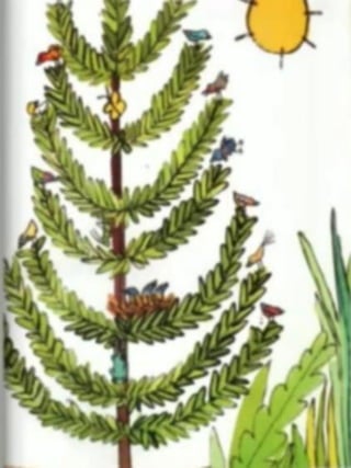 A ÁRVORE DO BETO.pdf