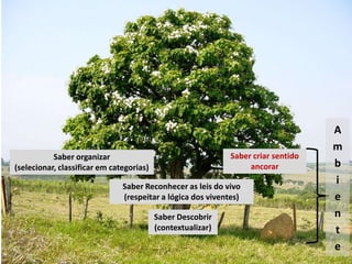 A
                                                                                   m
           Saber organizar                                   Saber criar sentido
(selecionar, classificar em categorias)                           ancorar          b
                               Saber Reconhecer as leis do vivo
                                                                                   i
                               (respeitar a lógica dos viventes)                   e
                                          Saber Descobrir                          n
                                          (contextualizar)                         t
                                                                                   e
 