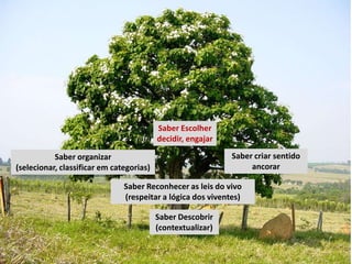 Saber Escolher
                                          decidir, engajar

           Saber organizar                                   Saber criar sentido
(selecionar, classificar em categorias)                           ancorar

                               Saber Reconhecer as leis do vivo
                               (respeitar a lógica dos viventes)

                                          Saber Descobrir
                                          (contextualizar)
 