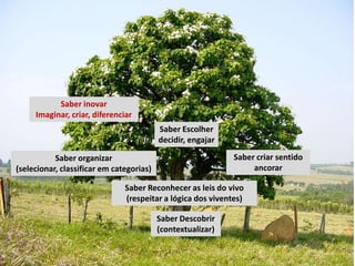 Saber inovar
     Imaginar, criar, diferenciar
                                          Saber Escolher
                                          decidir, engajar

           Saber organizar                                   Saber criar sentido
(selecionar, classificar em categorias)                           ancorar

                               Saber Reconhecer as leis do vivo
                               (respeitar a lógica dos viventes)

                                          Saber Descobrir
                                          (contextualizar)
 
