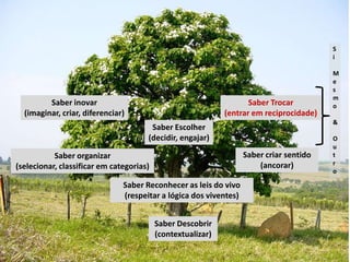 S
                                                                                         i

                                                                                         M
                                                                                         e
                                                                                         s
                                                                                         m
         Saber inovar                                               Saber Trocar         o
  (imaginar, criar, diferenciar)                             (entrar em reciprocidade)
                                                                                         &
                                       Saber Escolher
                                      (decidir, engajar)                                 O
                                                                                         u
           Saber organizar                                         Saber criar sentido   t
                                                                       (ancorar)         r
(selecionar, classificar em categorias)
                                                                                         o

                               Saber Reconhecer as leis do vivo
                               (respeitar a lógica dos viventes)


                                          Saber Descobrir
                                          (contextualizar)
 