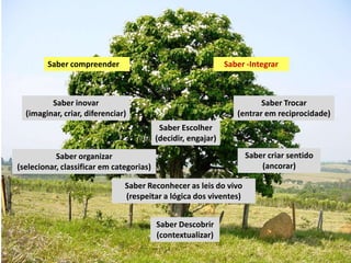Saber compreender                                      Saber -Integrar



         Saber inovar                                                    Saber Trocar
  (imaginar, criar, diferenciar)                                  (entrar em reciprocidade)
                                           Saber Escolher
                                          (decidir, engajar)

           Saber organizar                                          Saber criar sentido
(selecionar, classificar em categorias)                                 (ancorar)

                               Saber Reconhecer as leis do vivo
                               (respeitar a lógica dos viventes)


                                          Saber Descobrir
                                          (contextualizar)
 