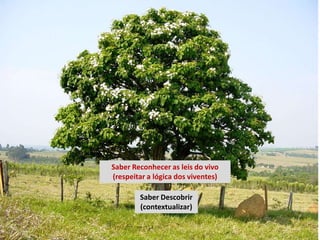 Saber Reconhecer as leis do vivo
(respeitar a lógica dos viventes)

        Saber Descobrir
        (contextualizar)
 