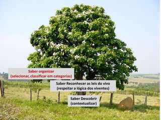 Saber organizar
(selecionar, classificar em categorias)
                            Saber Reconhecer as leis do vivo
                            (respeitar a lógica dos viventes)

                                      Saber Descobrir
                                      (contextualizar)
 
