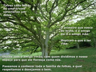 Talvez cada folha
de uma árvore
caracterize um
deles.



                                      O primeiro que nasce
                                      do broto, é o amigo
                                      pai e o amigo mãe.

                                      Mostram o que é ter
                                      vida.



Depois vem o amigo irmão, com quem dividimos o nosso
espaço para que ele floresça como nós.

Passamos a conhecer toda a família de folhas, a qual
respeitamos e desejamos o bem.
 
