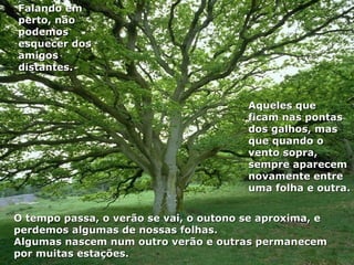 Falando em
perto, não
podemos
esquecer dos
amigos
distantes.


                                        Aqueles que
                                        ficam nas pontas
                                        dos galhos, mas
                                        que quando o
                                        vento sopra,
                                        sempre aparecem
                                        novamente entre
                                        uma folha e outra.


O tempo passa, o verão se vai, o outono se aproxima, e
perdemos algumas de nossas folhas.
Algumas nascem num outro verão e outras permanecem
por muitas estações.
 