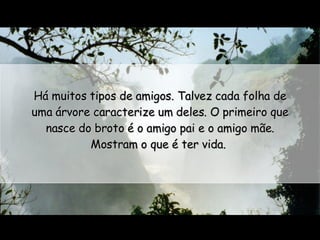 Há muitos tipos de amigos. Talvez cada folha de uma árvore caracterize um deles. O primeiro que nasce do broto é o amigo pai e o amigo mãe. Mostram o que é ter vida.  