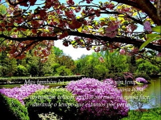 Mas também há aqueles amigos por um tempo,
talvez umas férias ou mesmo um dia ou uma hora.
Esses costumam colocar muitos sorrisos na nossa face,
durante o tempo que estamos por perto.

 