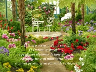 O tempo passa, o Verão se vai,
O Outono se aproxima,
e perdemos algumas de nossas folhas.
Algumas nascem num outro Verão
e outras permanecem por muitas estações.

 
