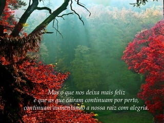 Mas o que nos deixa mais feliz
é que as que caíram continuam por perto,
continuam aumentando a nossa raiz com alegria.

 