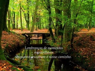 Lembranças de momentos
maravilhosos
enquanto cruzavam o nosso caminho.

 