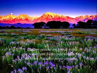 Existem pessoas em nossas vidas
que nos deixam felizes pelo simples fato
de terem cruzado o nosso caminho.

 