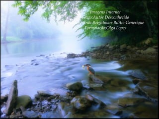 Imagens Internet
Texto:Autor Desconhecido
Música:Sarah Brightman-Bilitis-Generique
Formatação:Olga Lopes

 