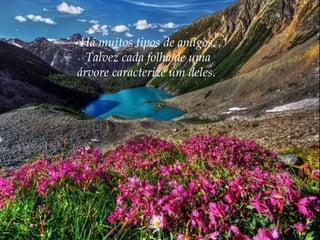 Há muitos tipos de amigos.
Talvez cada folha de uma
árvore caracterize um deles.

 