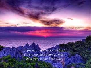 O primeiro que nasce do broto
é o amigo pai e o amigo mãe.
Mostram o que é ter vida.

 