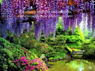 Passamos a conhecer toda a família,
a qual respeitamos e desejamos o bem.

 