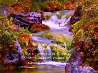 Muitos desses são designados
amigos do peito, do coração.
São sinceros, são verdadeiros.
Sabem quando não estamos bem,
sabem o que nos faz feliz...

 