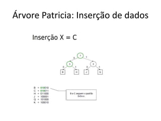 Árvore Patricia: Inserção de dados
 