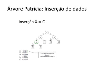 Árvore Patricia: Inserção de dados
 